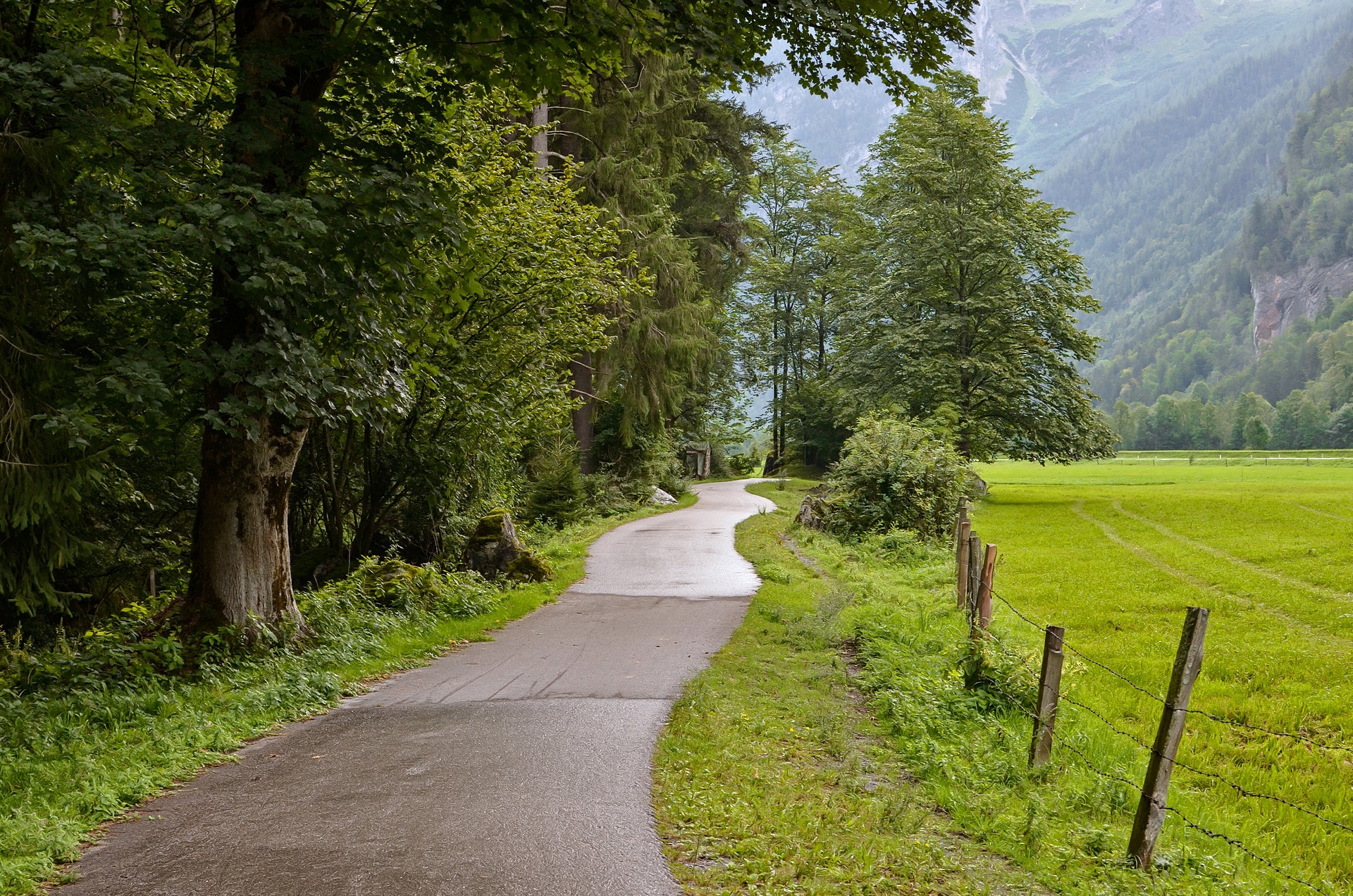 Peaceful Pathway in Nature